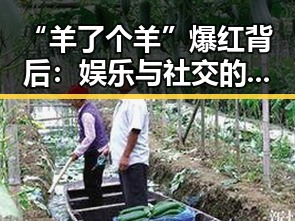 “羊了个羊”爆红背后：娱乐与社交的完美结合引发全民热潮