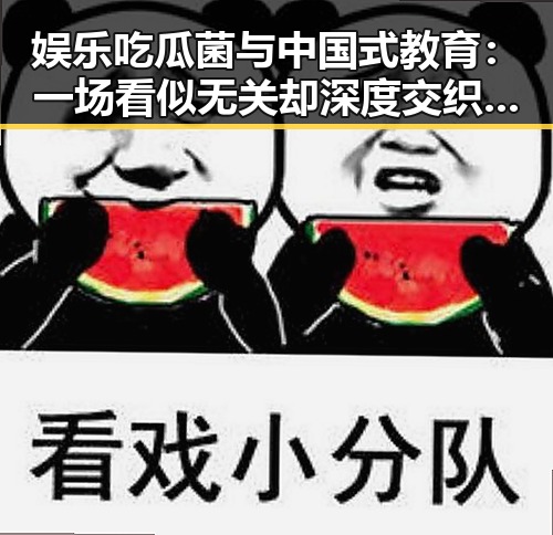 娱乐吃瓜菌与中国式教育:一场看似无关却深度交织的现象