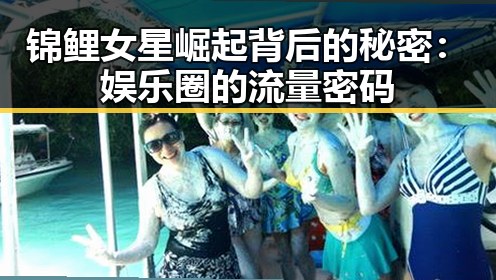 锦鲤女星崛起背后的秘密:娱乐圈的流量密码