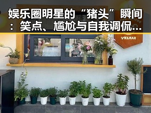 娱乐圈明星的“猪头”瞬间：笑点、尴尬与自我调侃的精彩交织🤭