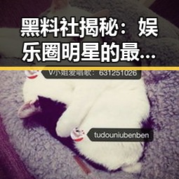 黑料社揭秘：娱乐圈明星的最新动向与八卦内幕