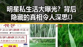 明星私生活大曝光？背后隐藏的真相令人深思🧐